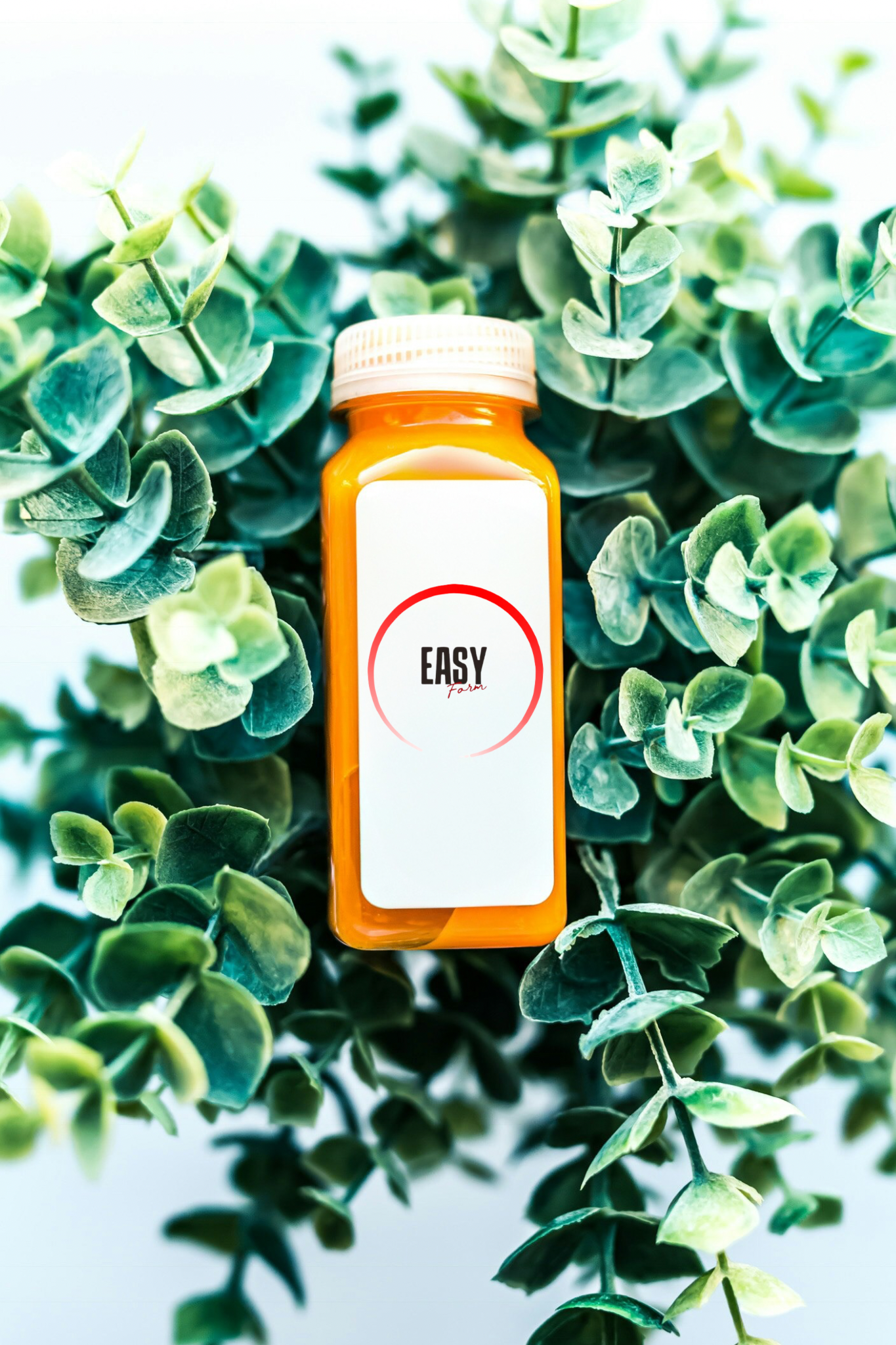 Pack 5 Easy Mini-SHOT Booster Orange.